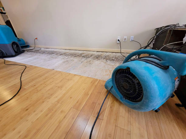 Professional Emergency Water Damage technician working in Empire, AL